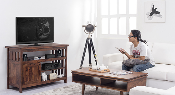 Grisha TV Unit